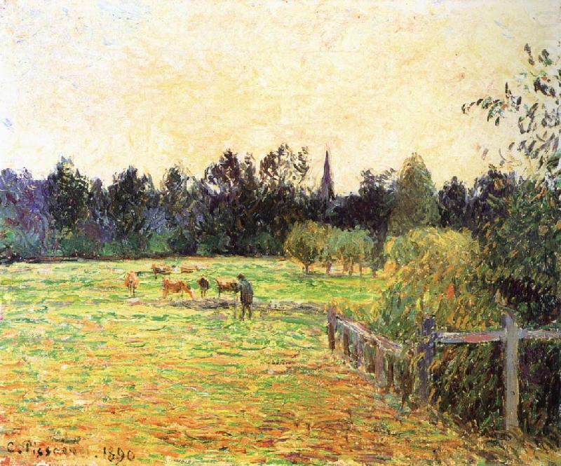 Camille Pissarro Cattle china oil painting image